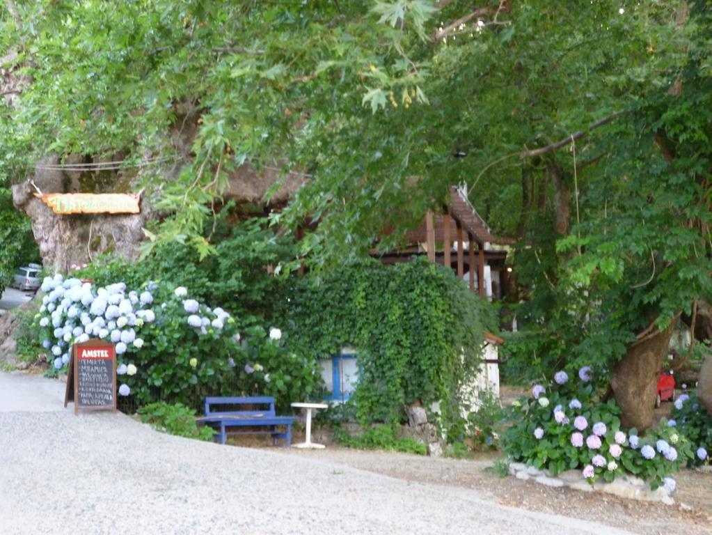 Galini Samothraki Hotel Therma  Buitenkant foto
