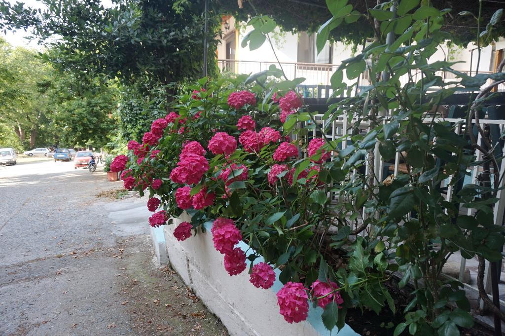 Galini Samothraki Hotel Therma  Buitenkant foto
